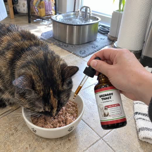 Kayla R. — Verified FurryDrops customer