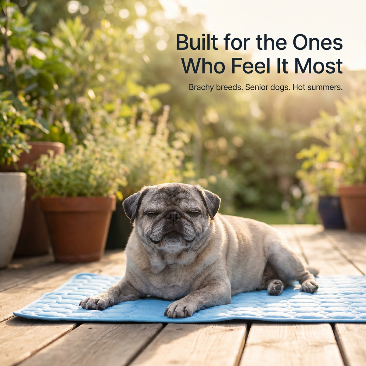 Wooflet Cooling Mat