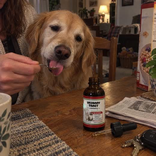Katie R. — Verified FurryDrops customer