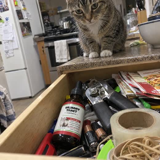 Grace H. — Verified FurryDrops customer